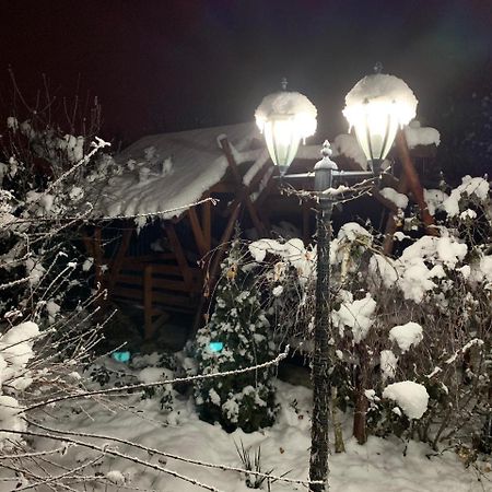 Міні Готель Вілла Вікторія Beregovo Exterior foto