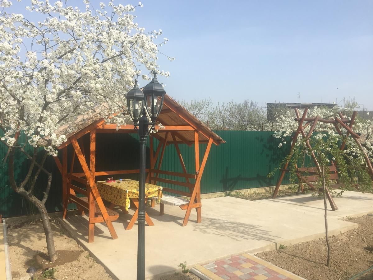 Міні Готель Вілла Вікторія Beregovo Exterior foto