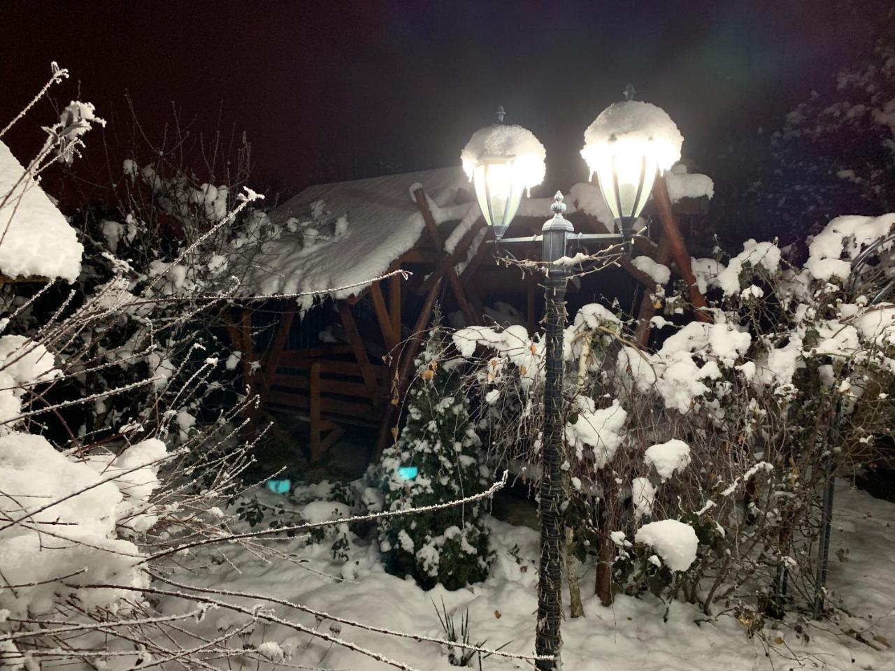 Міні Готель Вілла Вікторія Beregovo Exterior foto