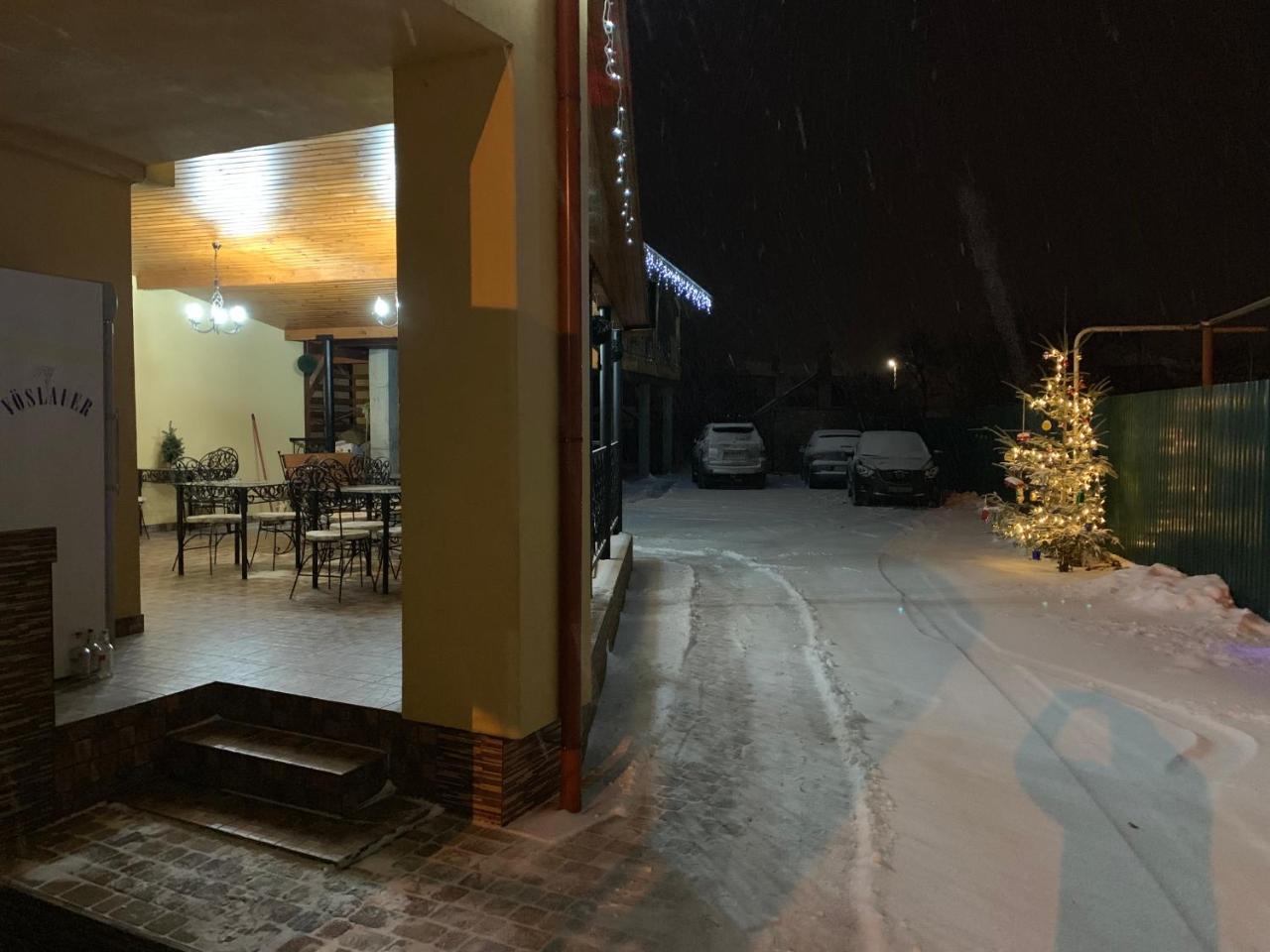 Міні Готель Вілла Вікторія Beregovo Exterior foto
